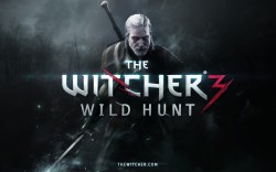 The Witcher 3 Wild Hunt (PS4)